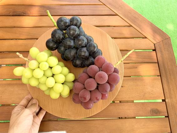 【黒部のぶどう直売農家】bossa farm-0