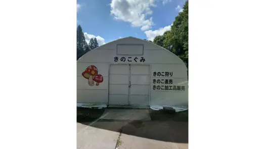 きのこぐみ-1