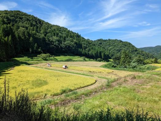 NOROSHI farmの直売所-9