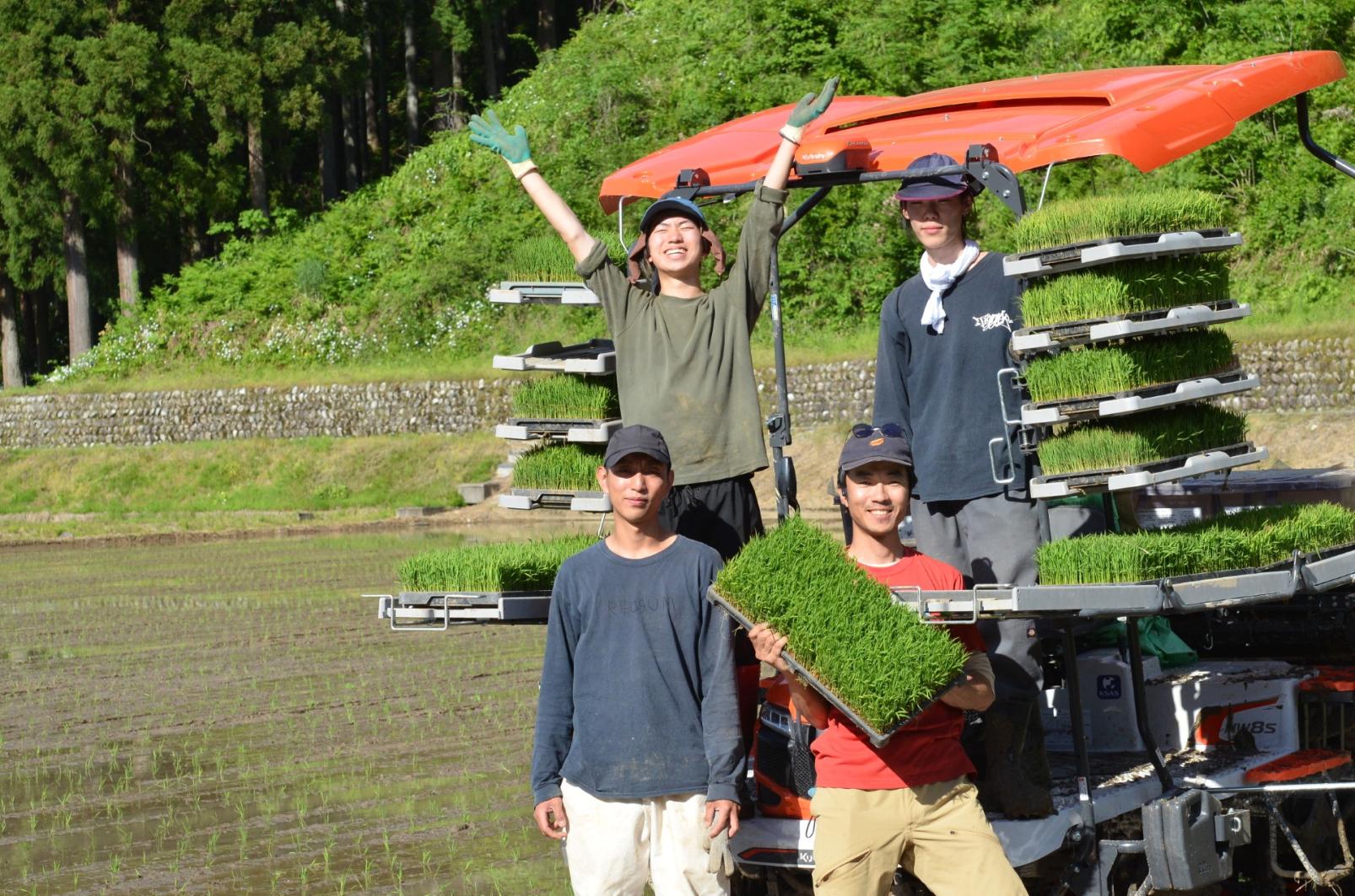 NOROSHI farmの直売所-8