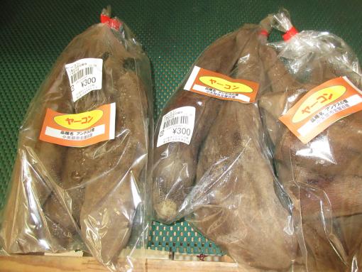 村の駅　きたかんだの郷-2