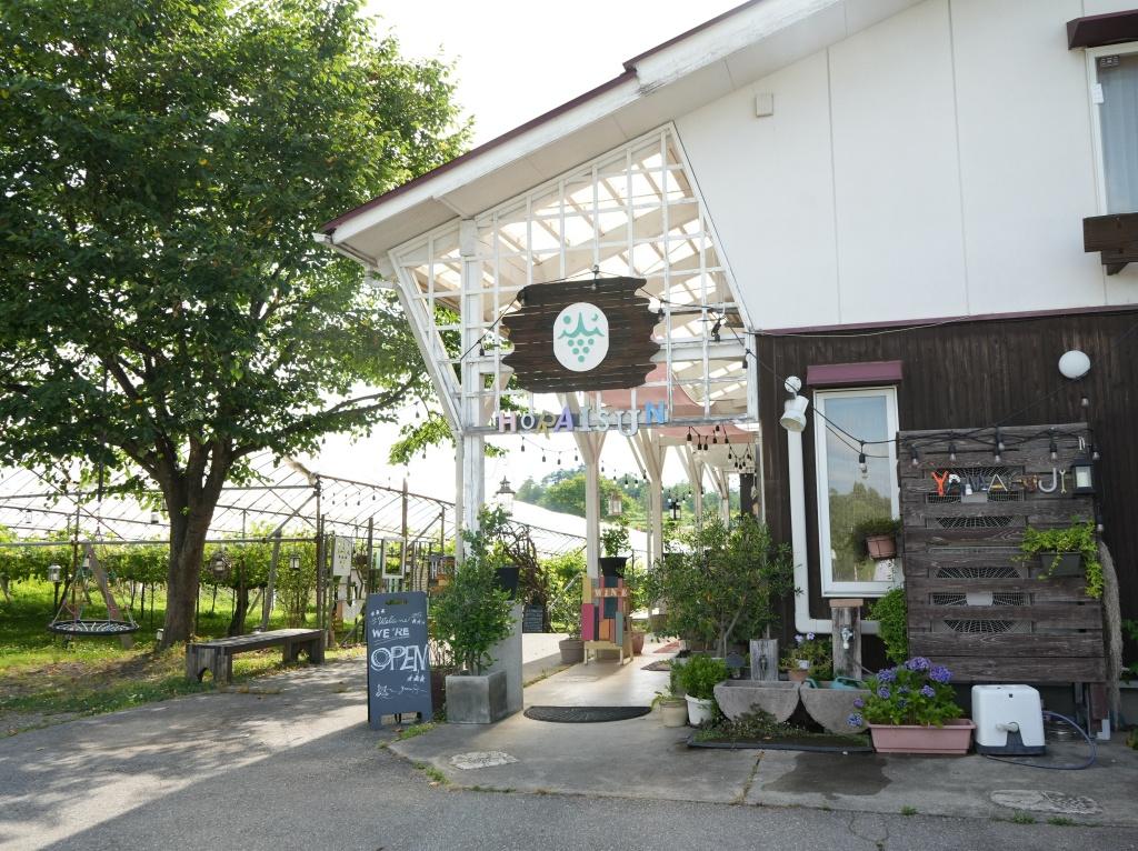 やまふじぶどう園/ホーライサンワイナリー-3