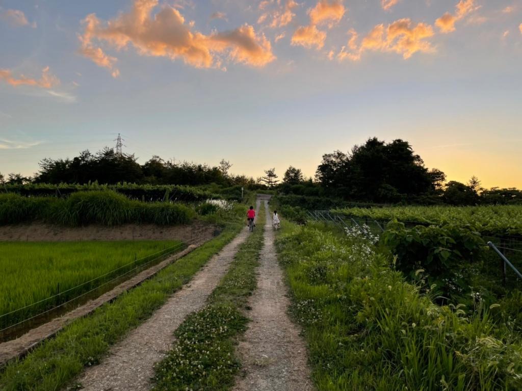 やまふじぶどう園/ホーライサンワイナリー-7