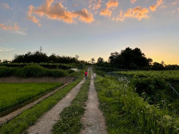 やまふじぶどう園/ホーライサンワイナリー-7