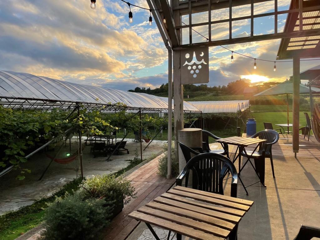 やまふじぶどう園/ホーライサンワイナリー-5