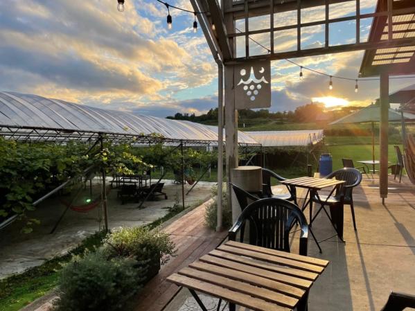 やまふじぶどう園/ホーライサンワイナリー-5