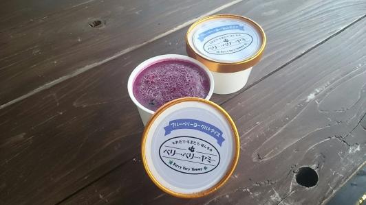 とれたて・もぎたて・ほんもの　ベリー・ベリー・ヤミー-5