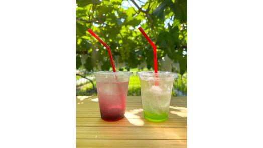 イノハラぶどう園-6