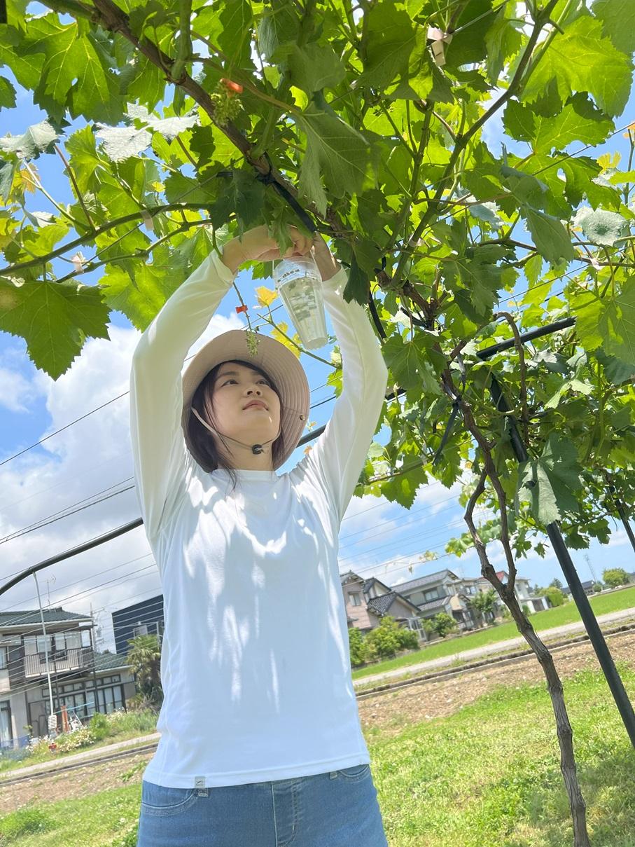イノハラぶどう園-3