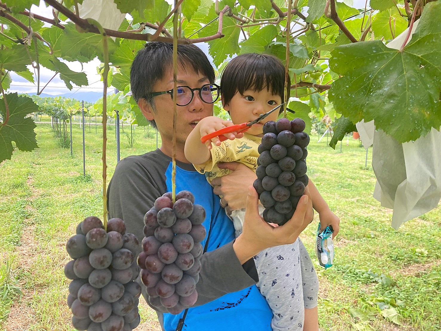 イノハラぶどう園-2