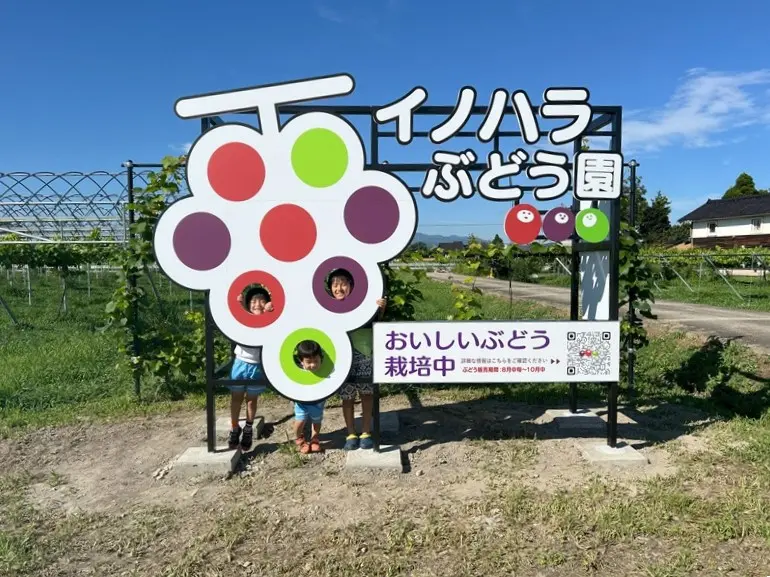 イノハラぶどう園-1