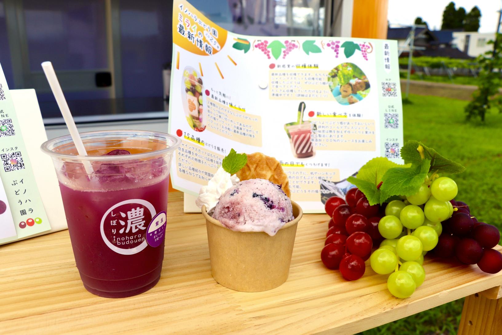 イノハラぶどう園-4