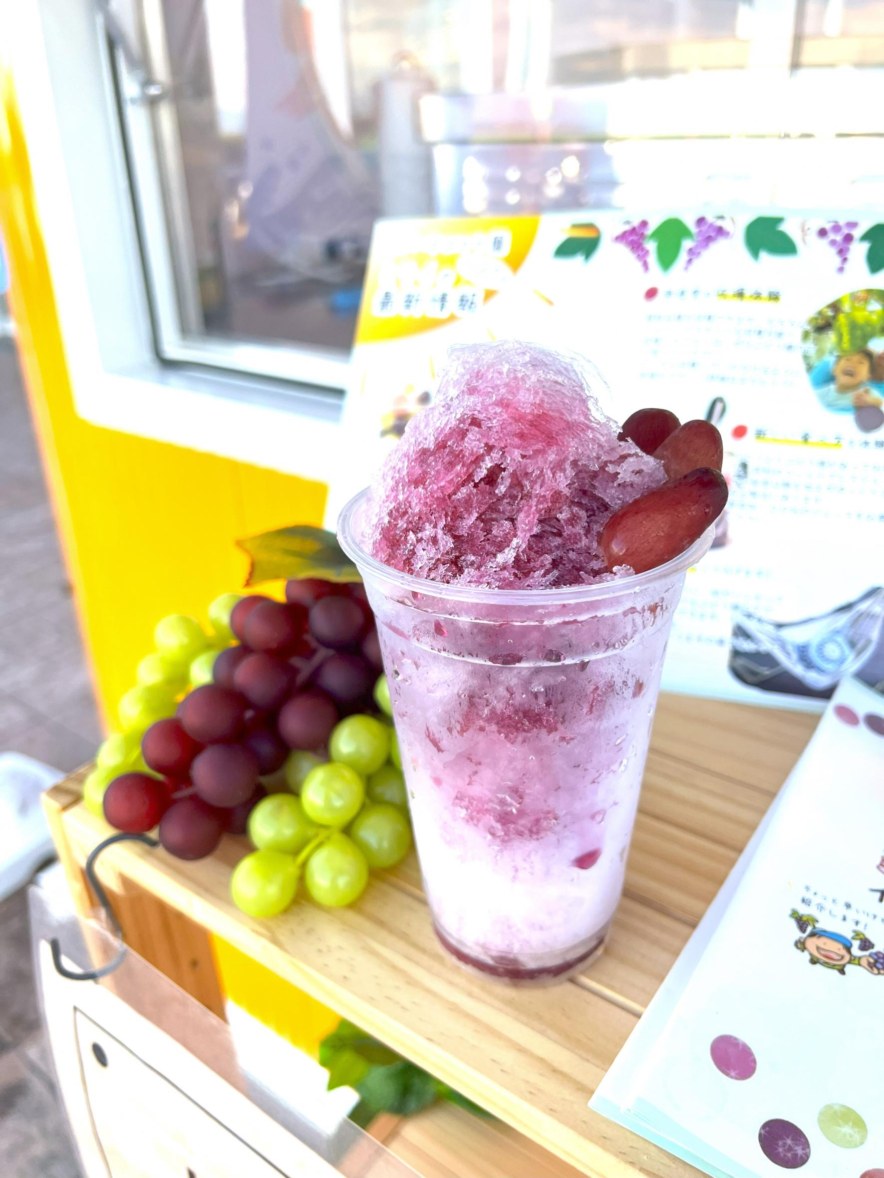 イノハラぶどう園-5