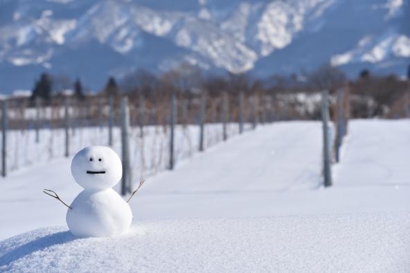 ドメーヌ･ボー-8