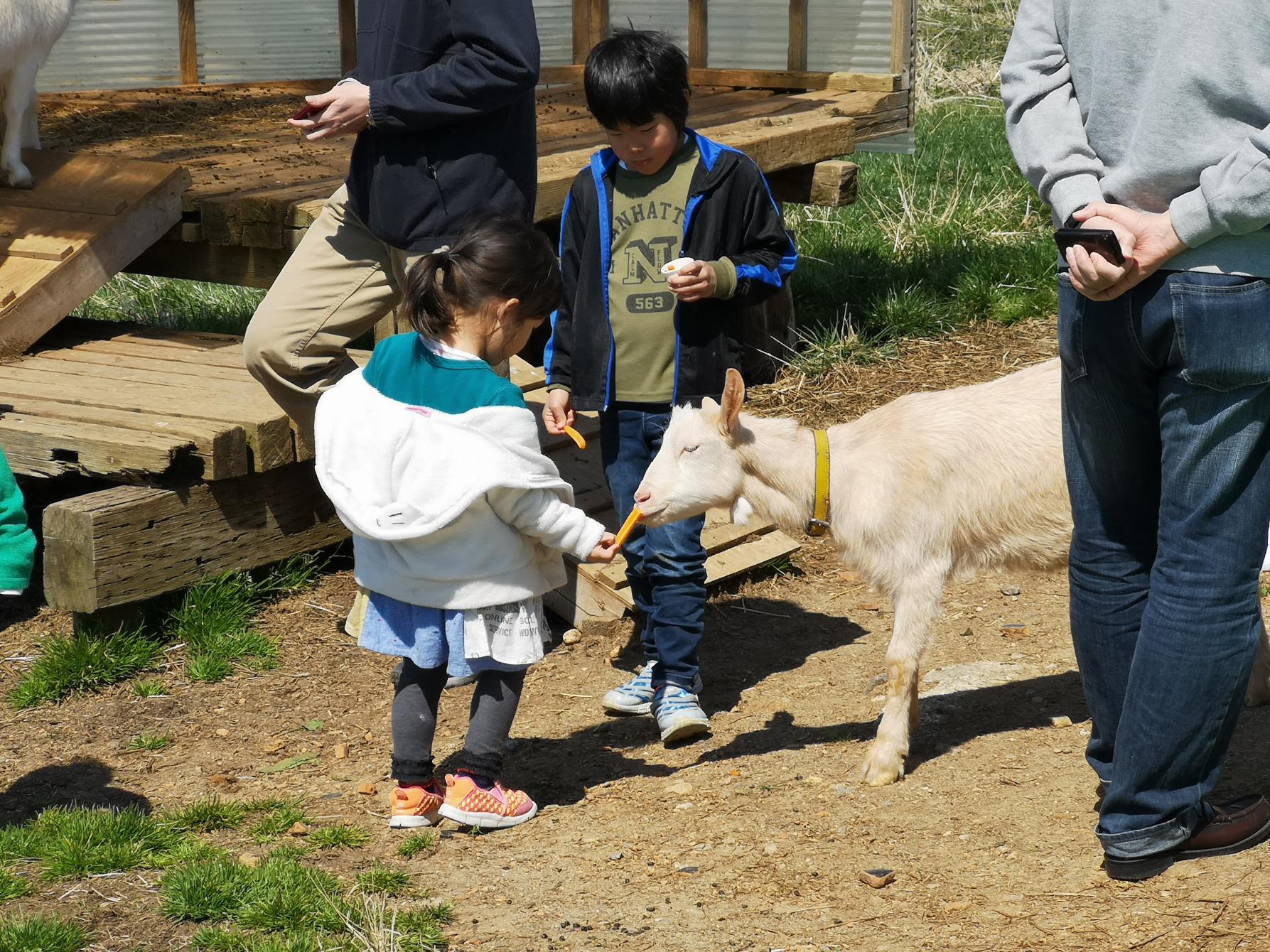 うしのいえMOOガーデン-2