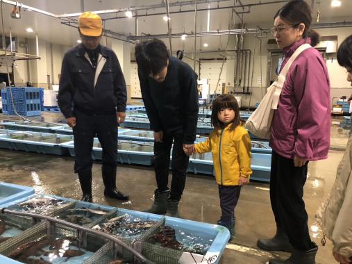 おさかなランド市場見学体験-0