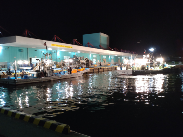 おさかなランド市場見学体験-3