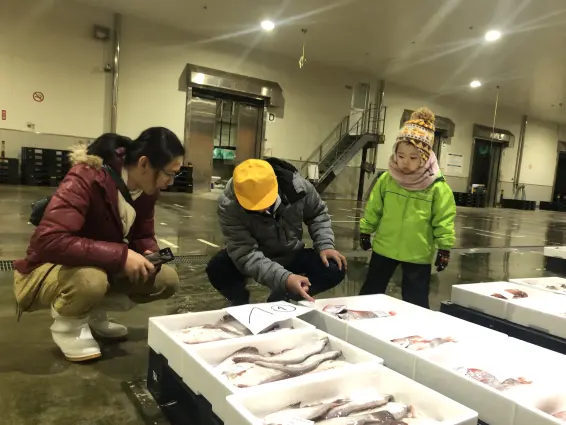 おさかなランド市場見学体験-1