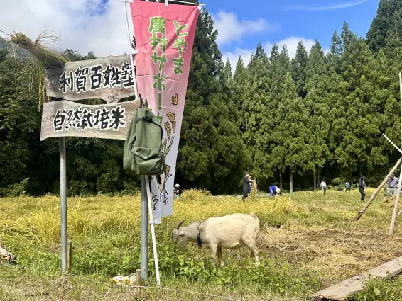 民宿 中の屋-1