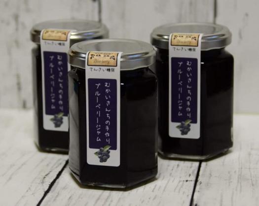 ブルーベリー狩り体験園　むかいさんちの農園-3