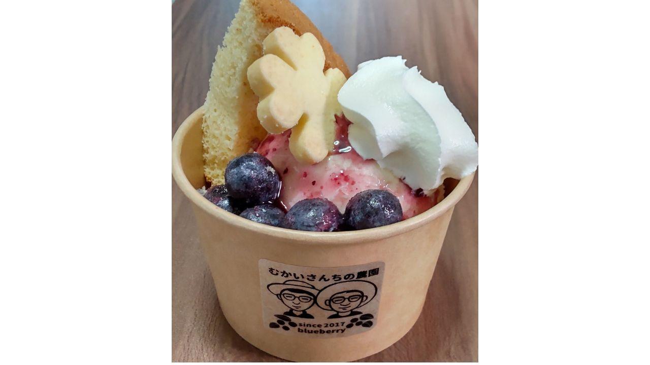 ブルーベリー狩り体験園　むかいさんちの農園-4