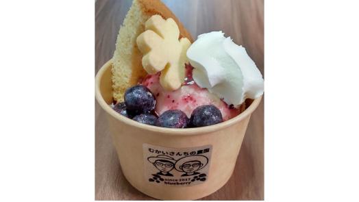 ブルーベリー狩り体験園　むかいさんちの農園-4