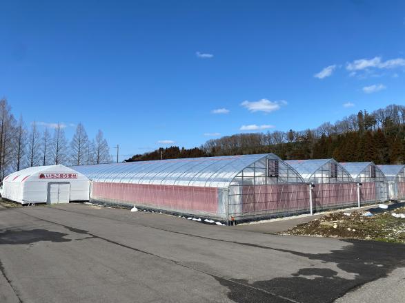 あるぺん村観光農園-4