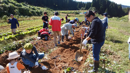 てっぺん農園　案山子農園-0