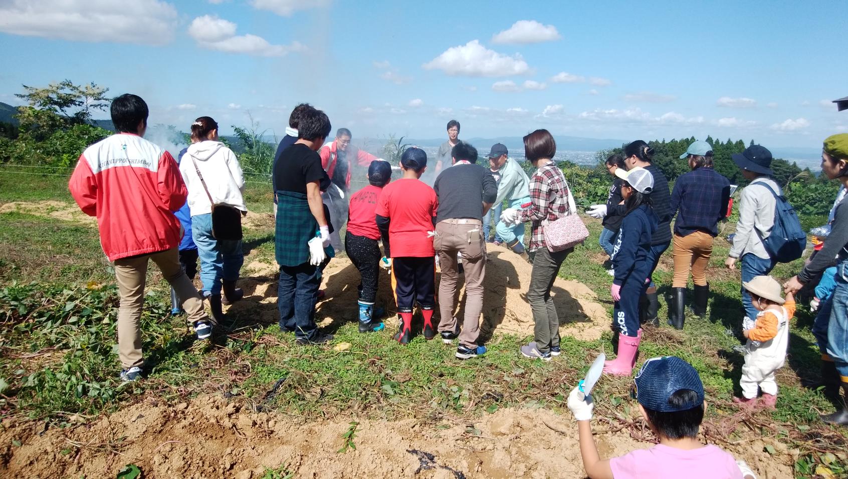 てっぺん農園　案山子農園-1