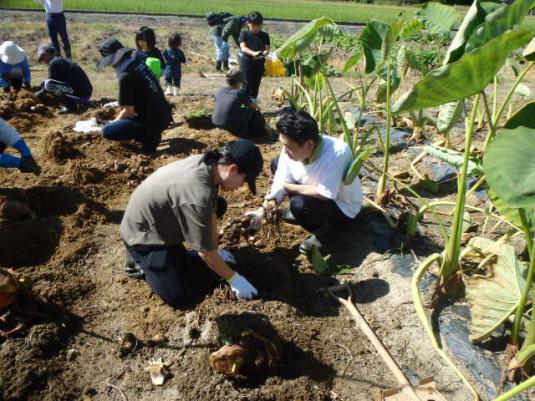 農）ファーム寿五位-6