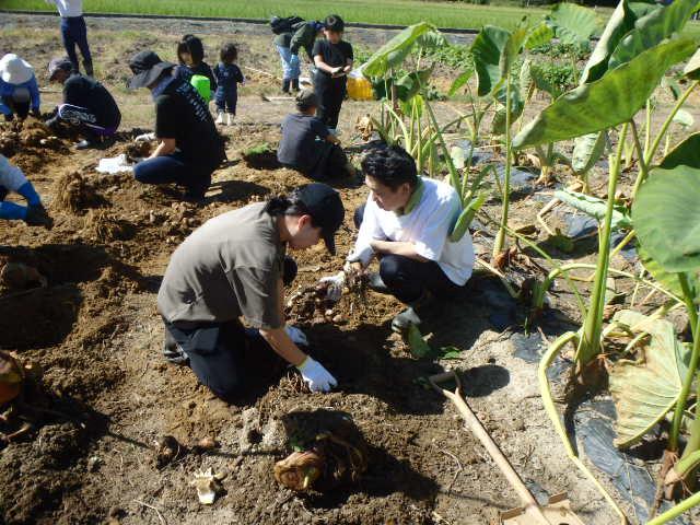 農）ファーム寿五位-6