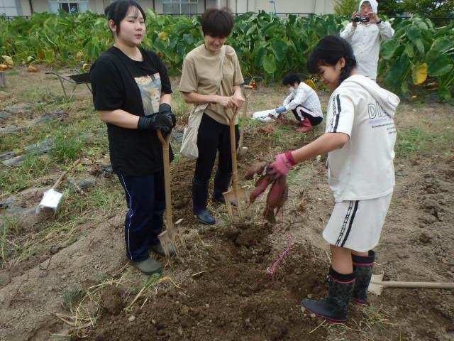 農）ファーム寿五位-5