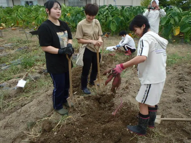 農）ファーム寿五位-5
