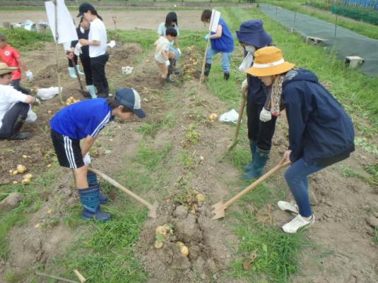 農）ファーム寿五位-1