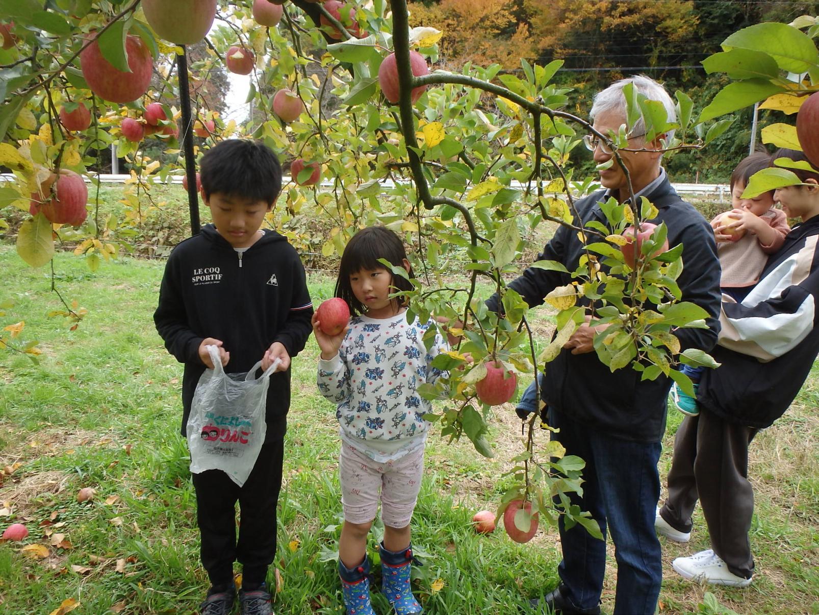 農）ファーム寿五位-7