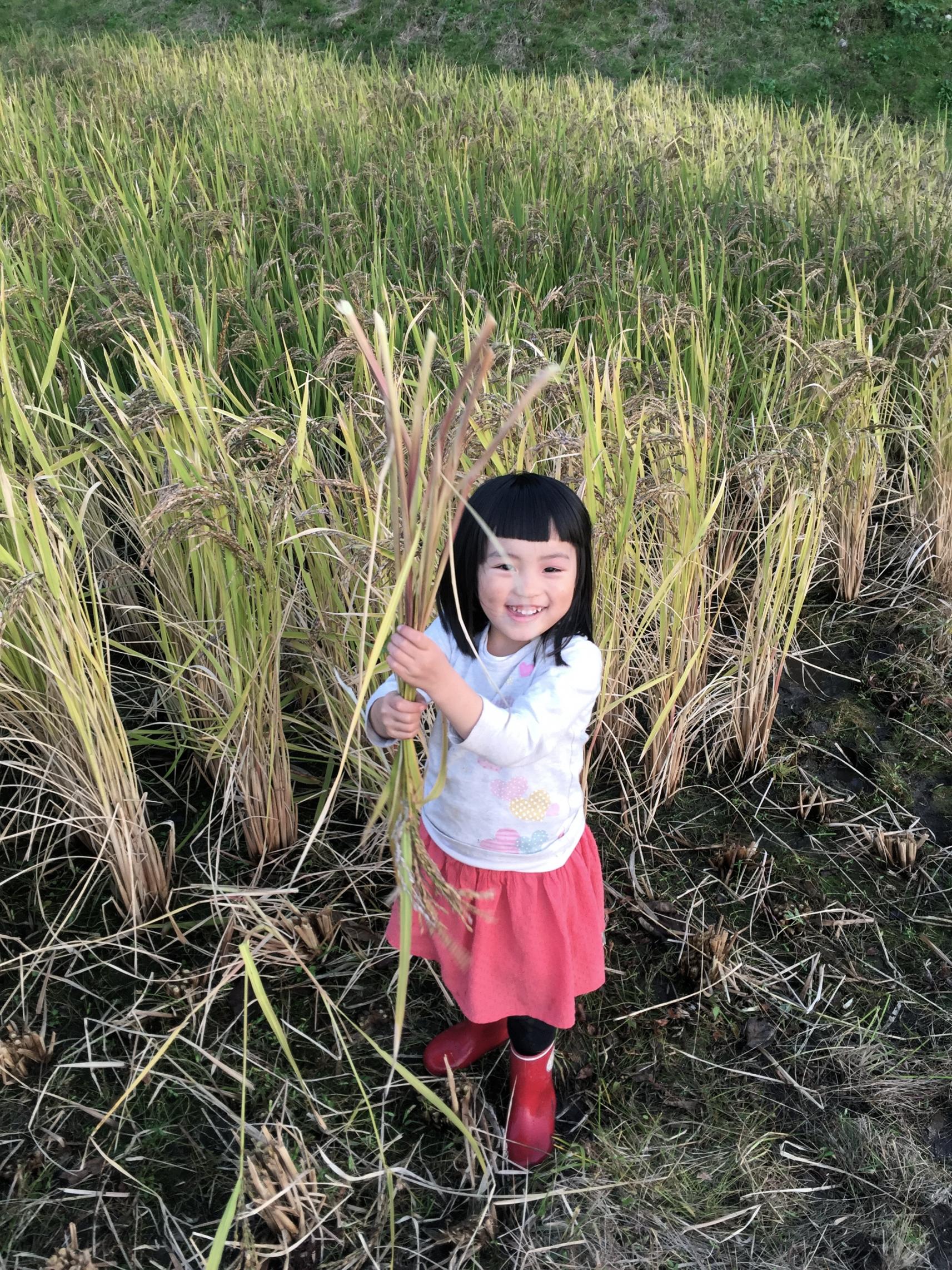 エコビレッジ　立山村-7