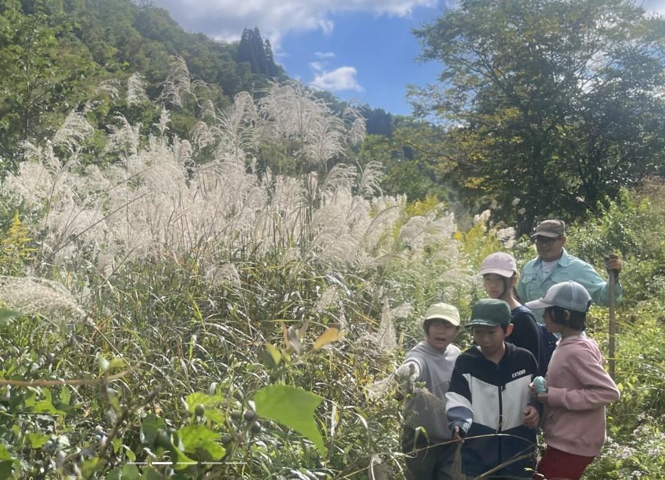 南砺利賀みらい留学-1