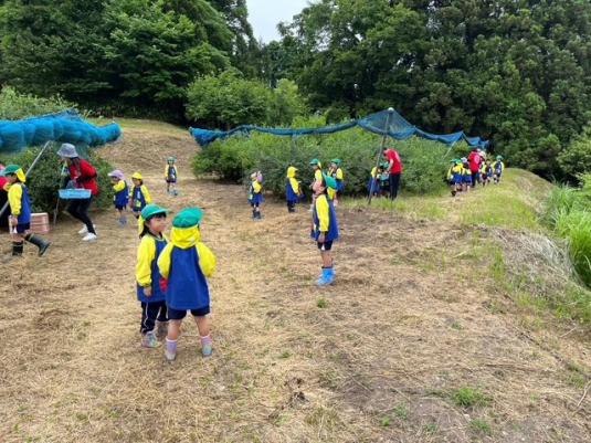 ブルーベリーと山の幸いなかふれさか-3