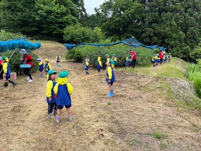 ブルーベリーと山の幸いなかふれさか-3