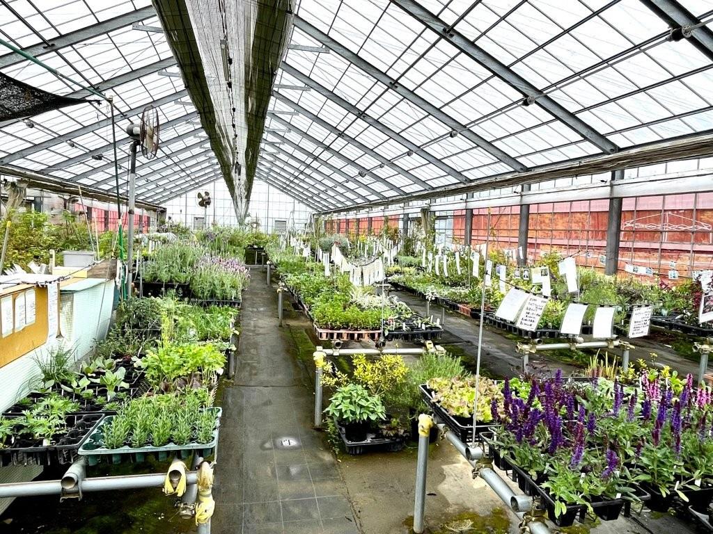 ハーブカフェトムソーヤ-7