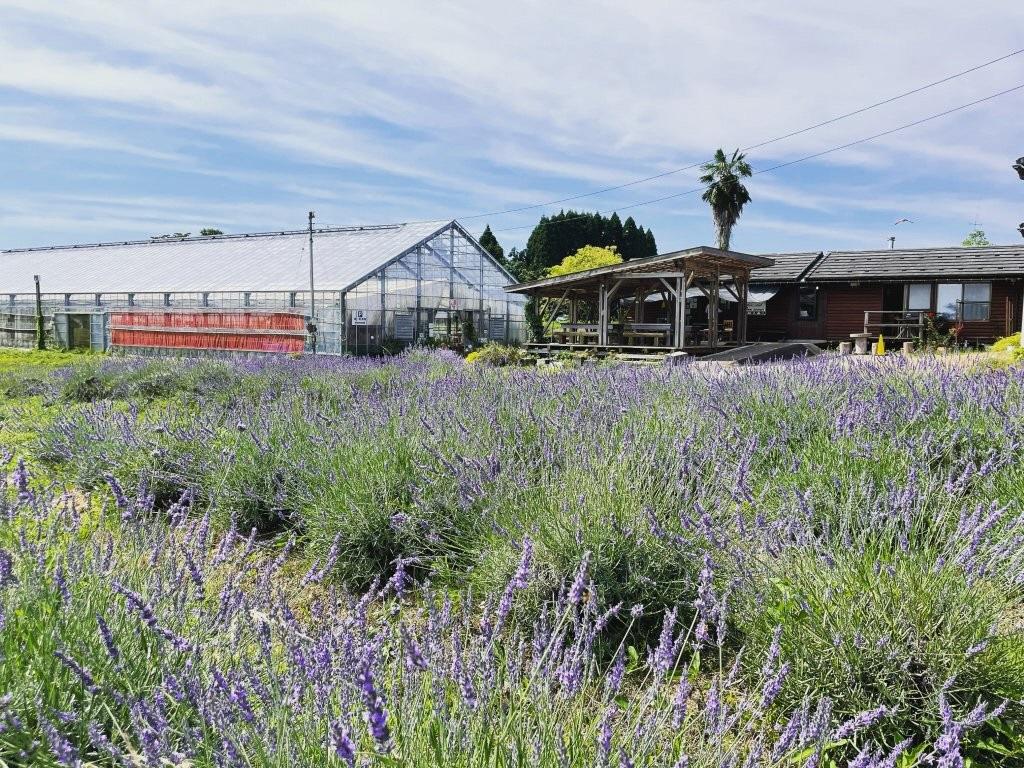 ハーブカフェトムソーヤ-5