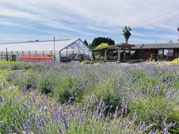 ハーブカフェトムソーヤ-5