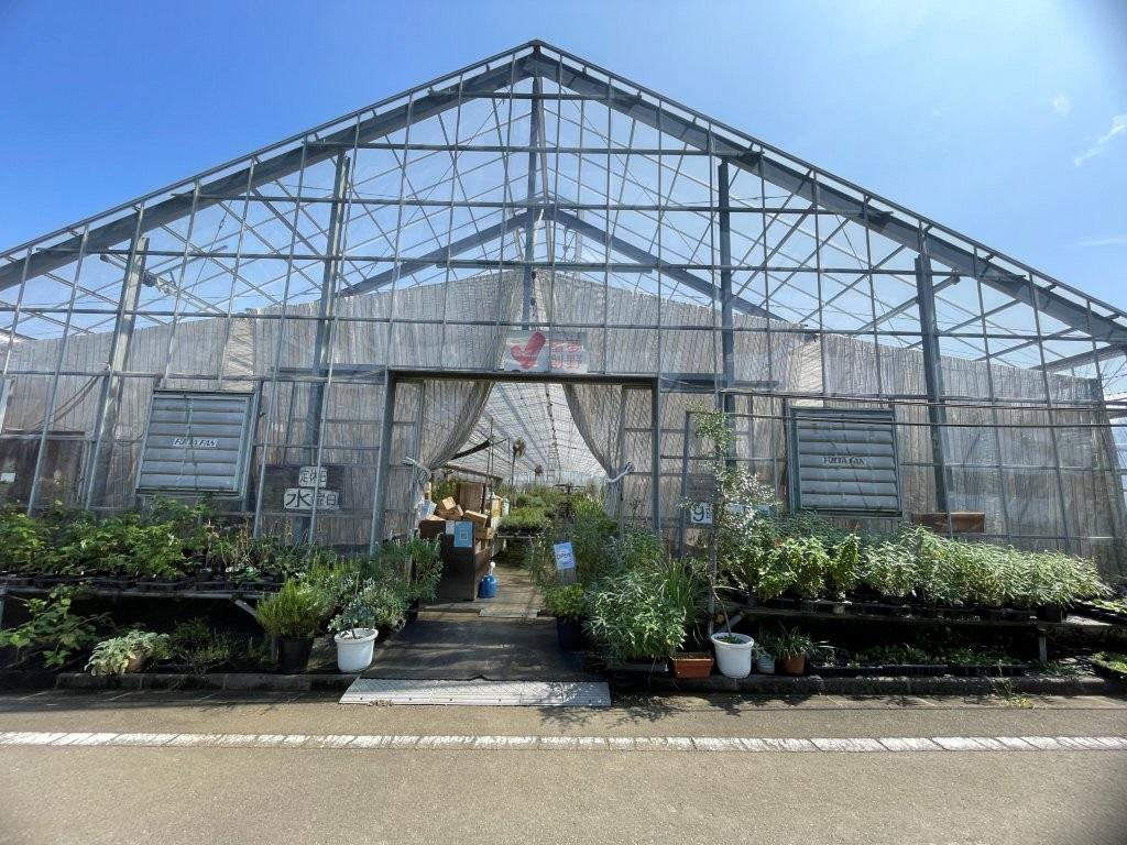 ハーブ・ファーム富夢創野-3