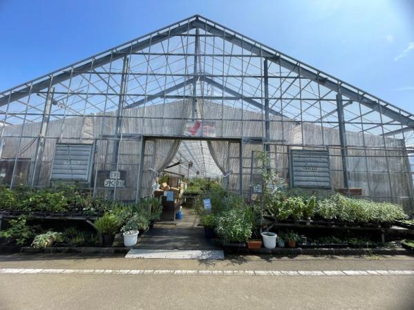 ハーブ・ファーム富夢創野-3