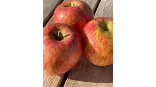 39フルーツパーク-8