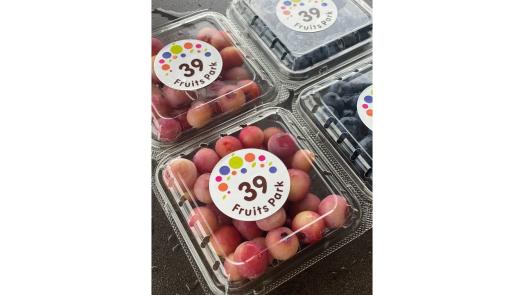 39フルーツパーク-7
