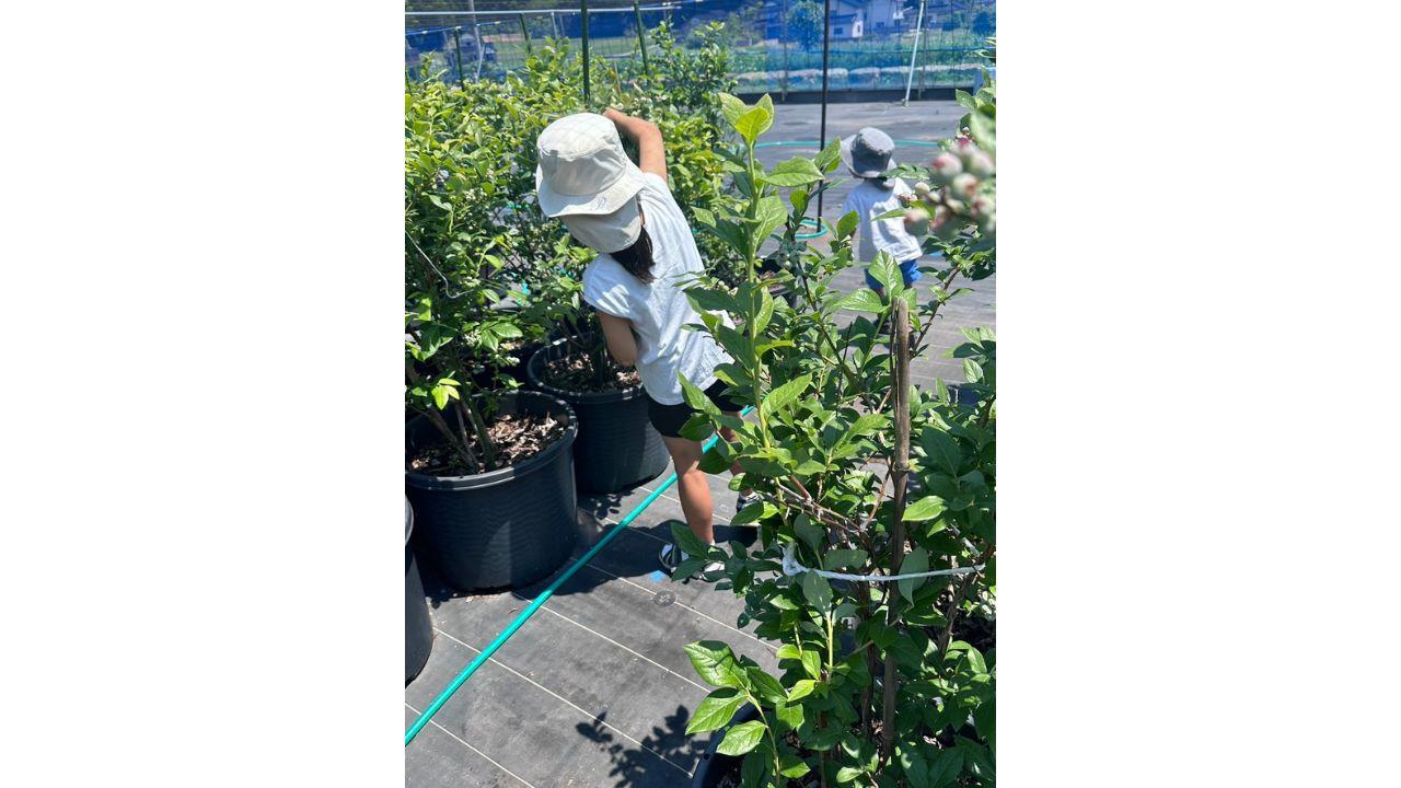 39フルーツパーク-6