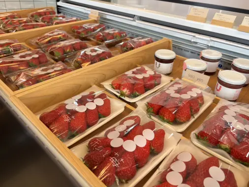 私と苺-1