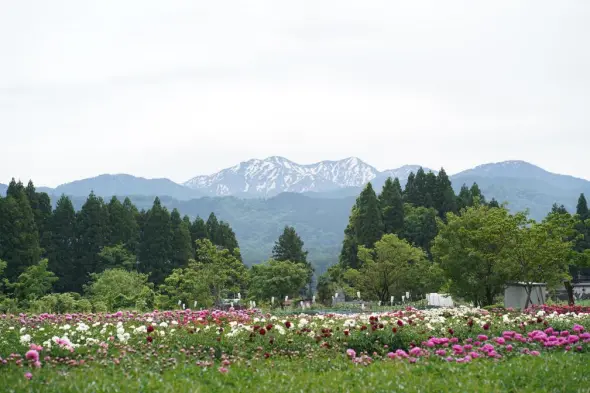 薬用植物指導センター-2
