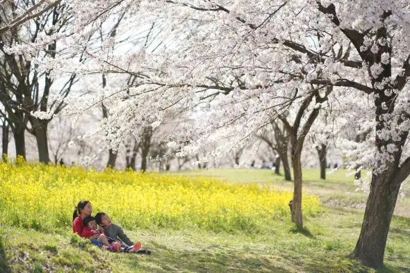 呉羽山公園・都市緑化植物園-0